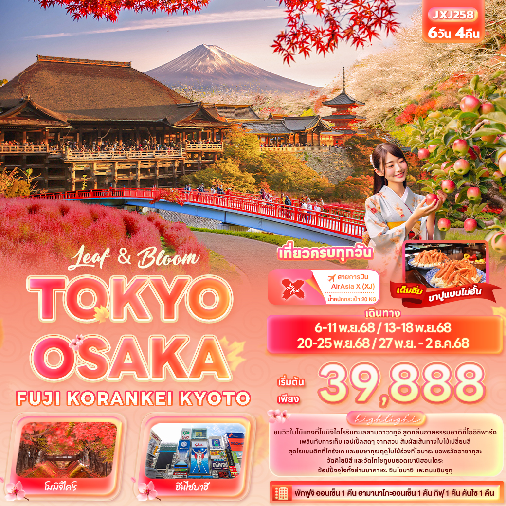 ทัวร์ญี่ปุ่น Leaf & Bloom TOKYO OSAKA FUJI KORANKEI KYOTO 6วัน 4คืน (XJ)
