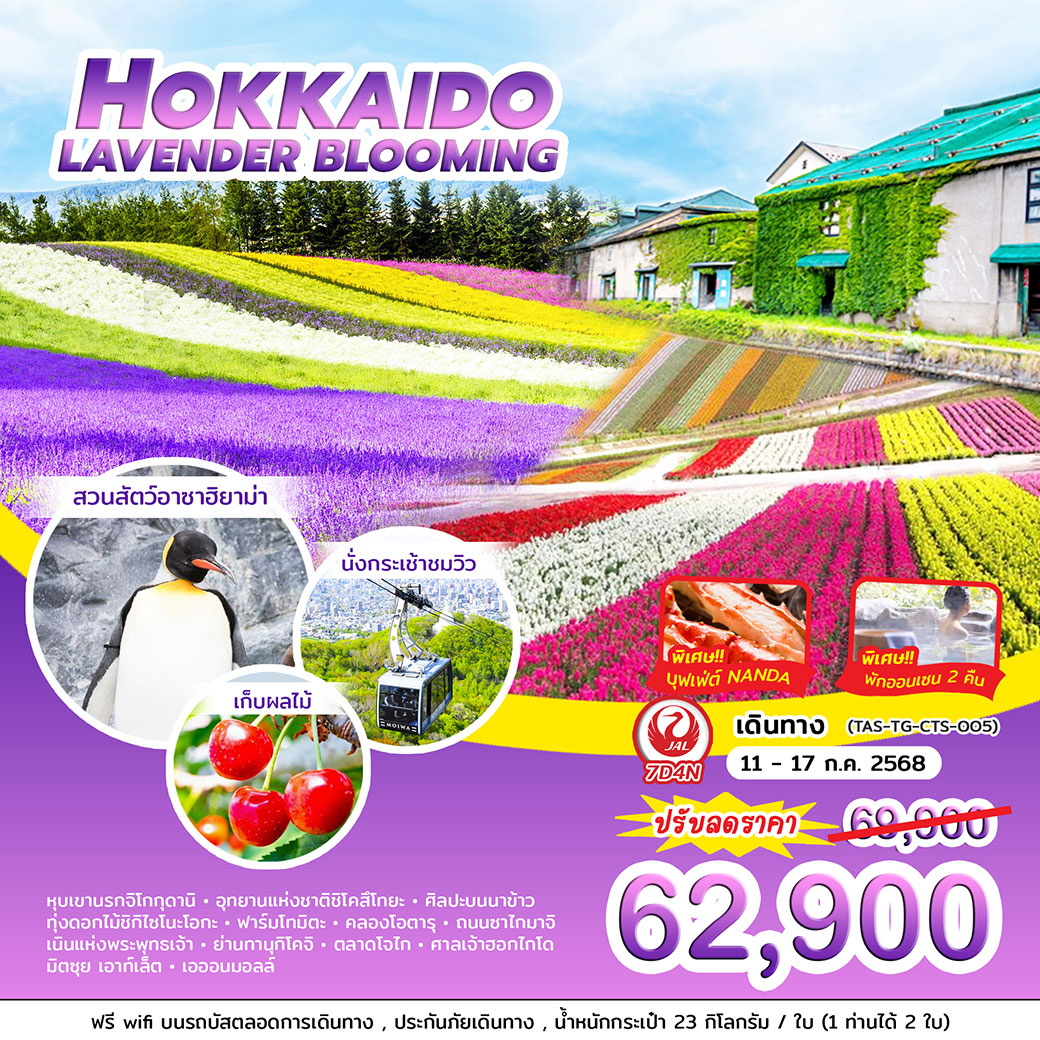 ทัวร์ญี่ปุ่น HOKKAIDO LAVENDER BLOOMING 7วัน 4คืน (JL)