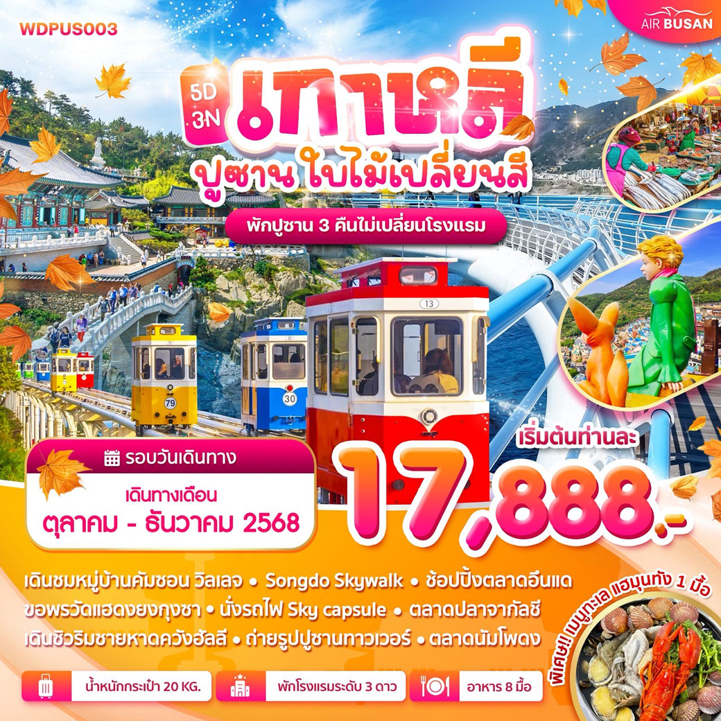 ทัวร์เกาหลี ปูซาน ใบไม้เปลี่ยนสี 5วัน 3คืน (BX)